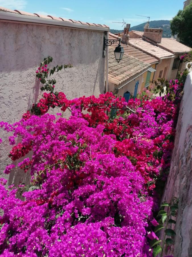 Beautiful Renovated Studio With View- Old Hyères Exterior foto