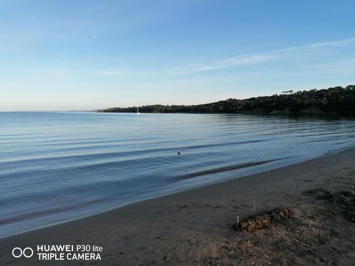 Beautiful Renovated Studio With View- Old Hyères Exterior foto